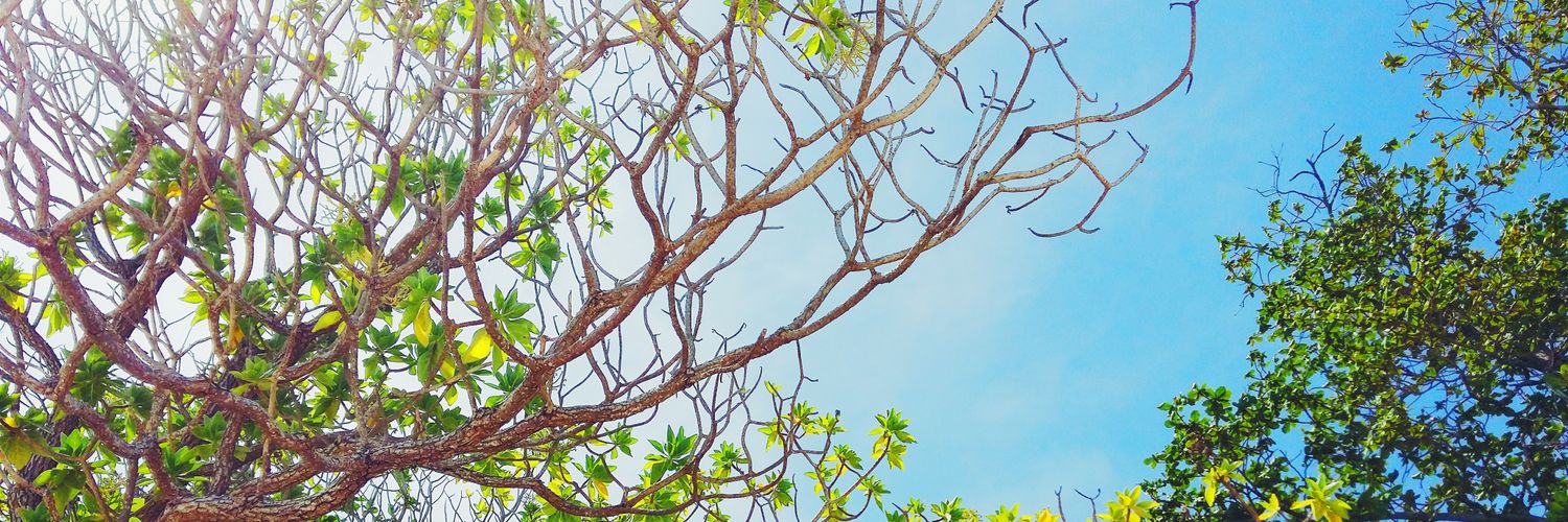 K_resme's profile banner image