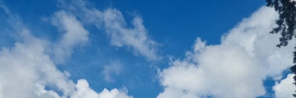 6__2__4 Profile Banner