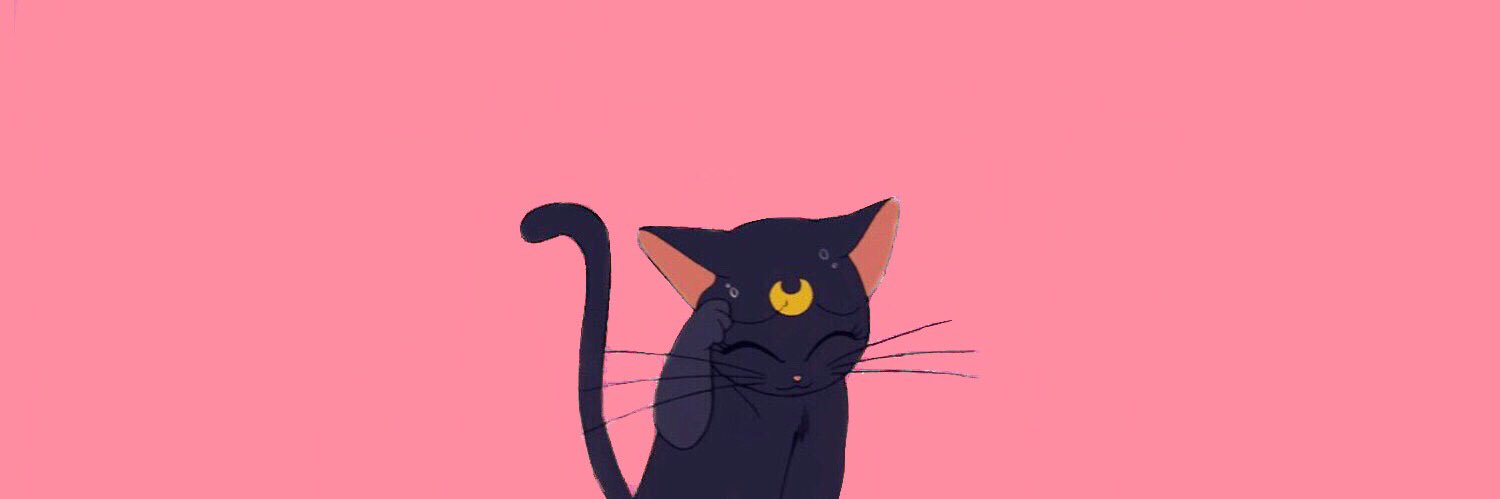 rococobasilisks's profile banner image