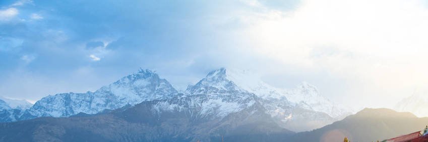 Abigail Hunt banner