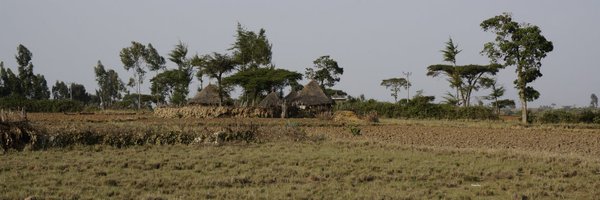 GLCMHD Profile Banner