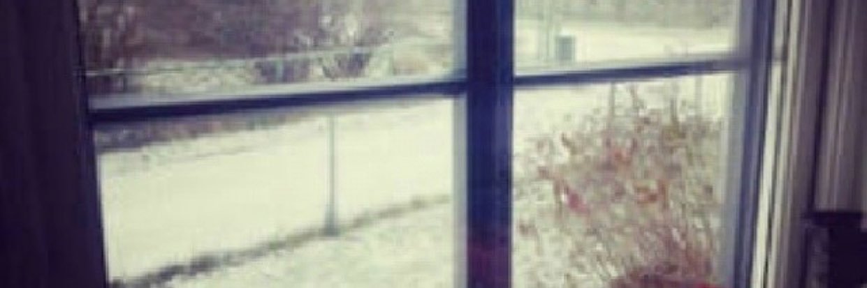 ‏๛ همسة غلا ๛ banner