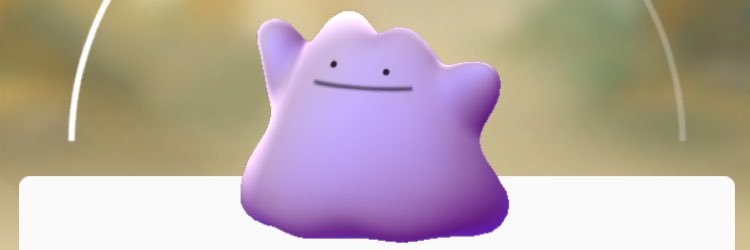 camew09's profile banner image