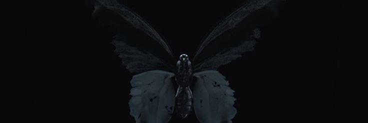 aya1rm's profile banner image