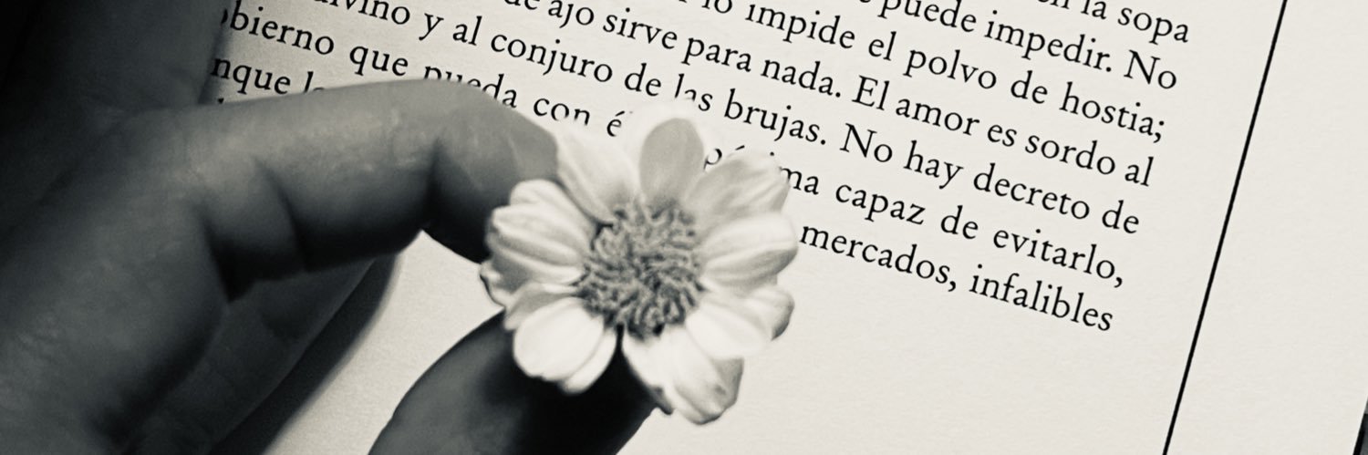 inoportuna banner