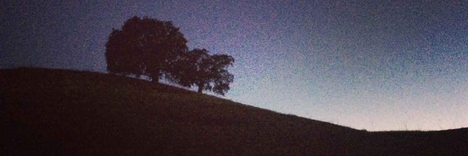 gwenyth_c's profile banner image
