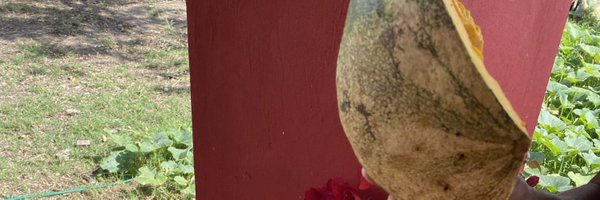 ThelmoLozano1 Profile Banner