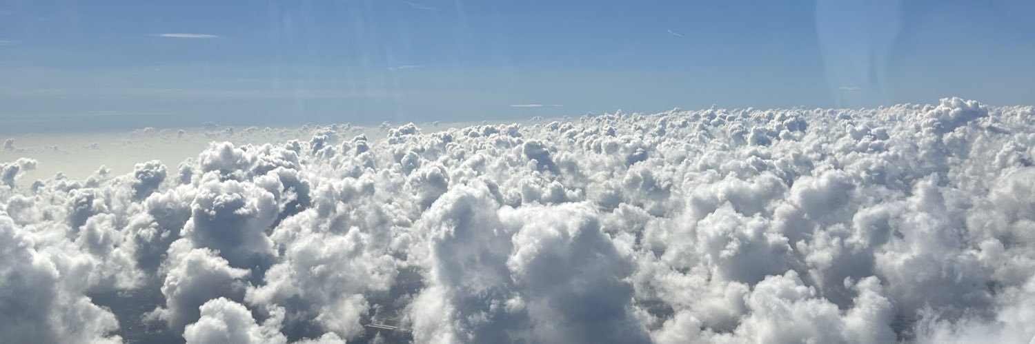 teddyjarebear's profile banner image