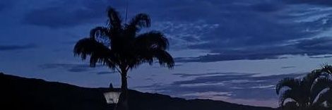 CHELITAVASQUEZ's profile banner image