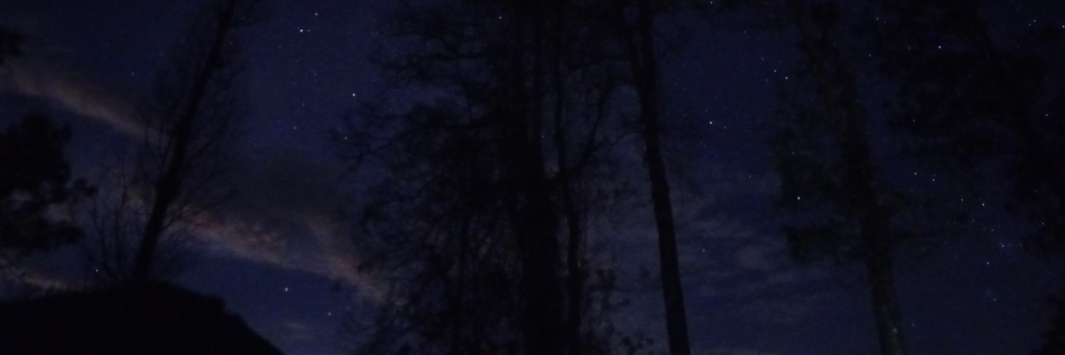 afnihsnh's profile banner image