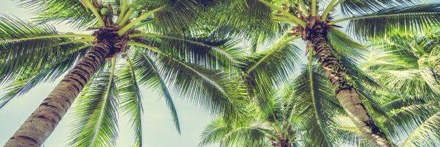 MariaFGonzalezV's profile banner image
