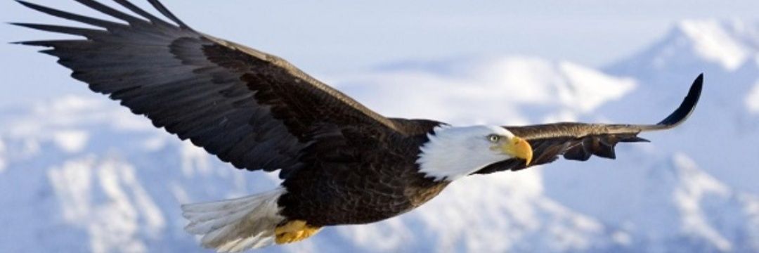 GomezMonroy's profile banner image
