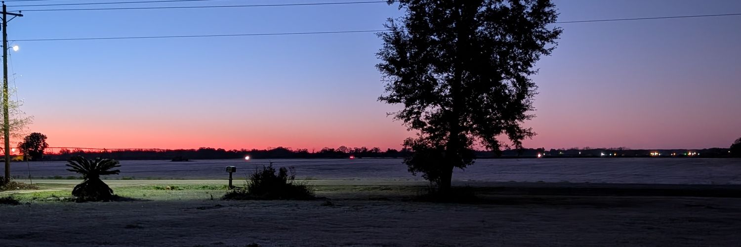 Distracted_Nrd banner