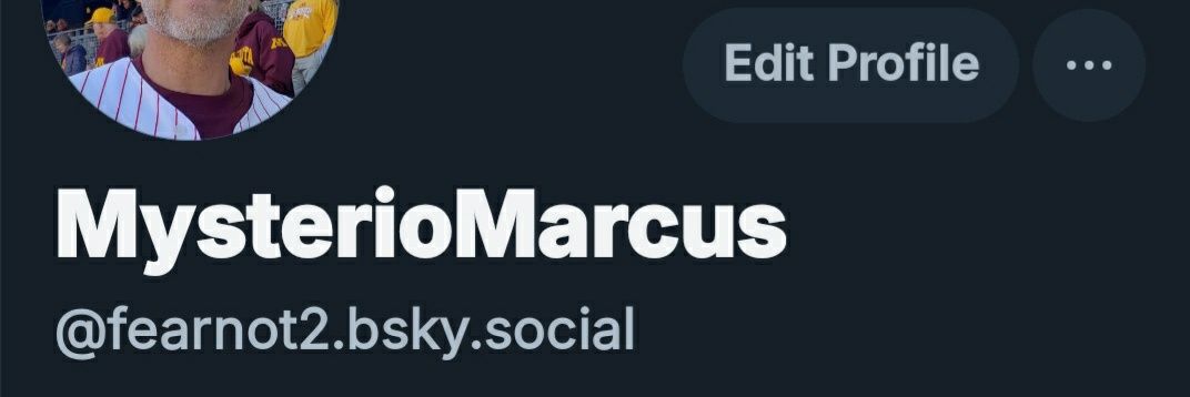 MarcusVulpes 🦊 banner
