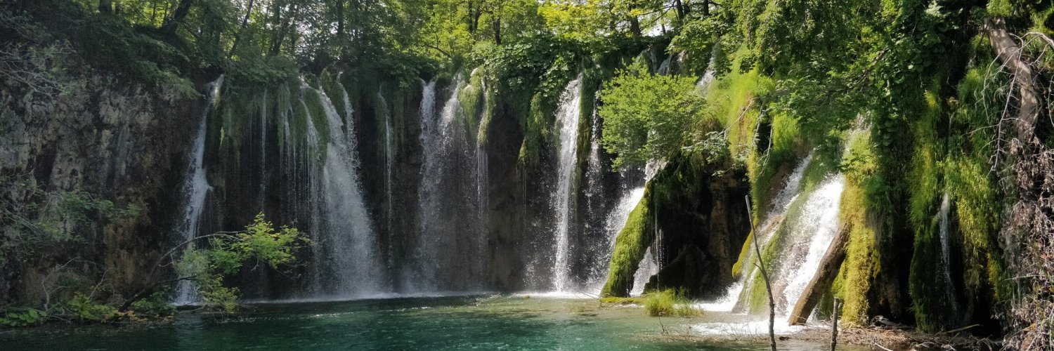 Joan Degauque banner