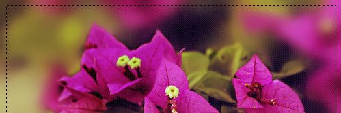 adil200083's profile banner image