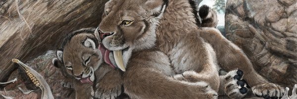 tmddyan2 Profile Banner