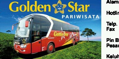 GoldenStarID's profile banner image