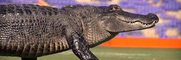 valerie cherish banner