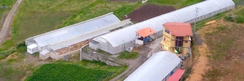 Product. Integrales banner