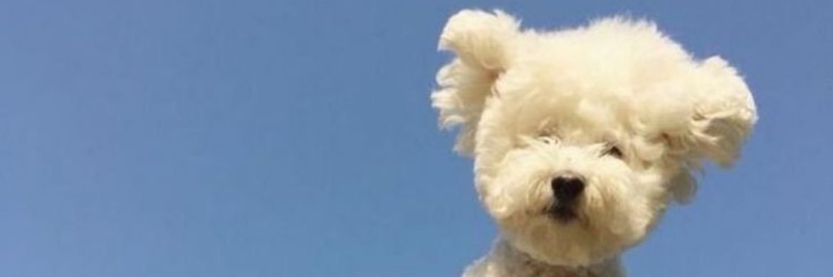 saueeee1019's profile banner image