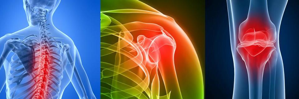 PhysioatheLodge's profile banner image