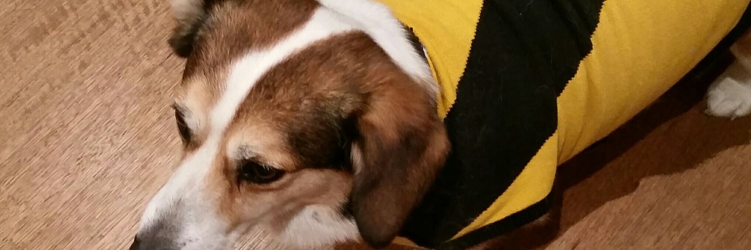 Gareth Boreham banner