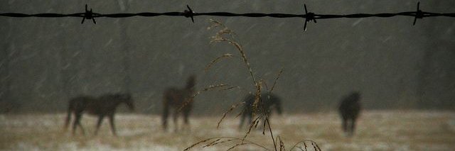 🦴 Ryan 𝄞⋆˚꩜｡ banner