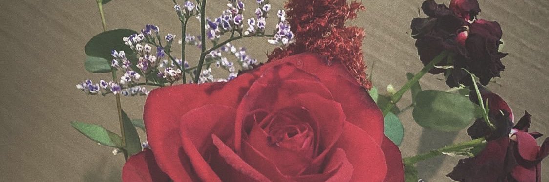 a_bdm's profile banner image