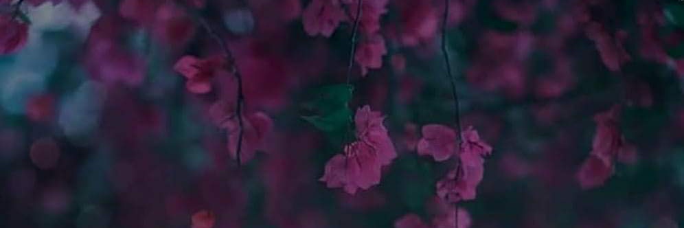 sameer_oberoy's profile banner image