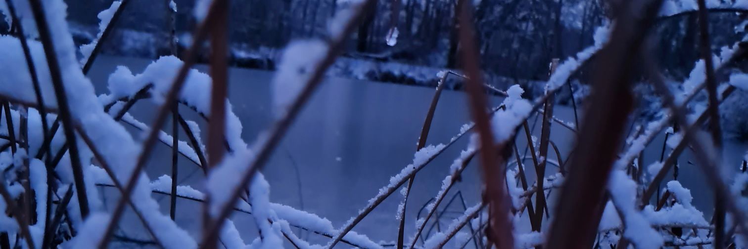 SelmaMagAffen's profile banner image