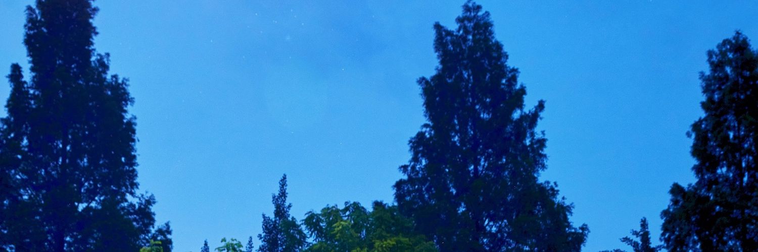 PQ64124404's profile banner image