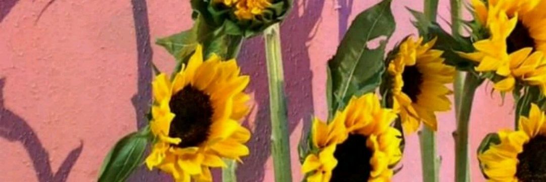 meaniekyeom's profile banner image