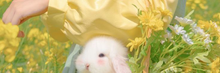 xuxistem's profile banner image