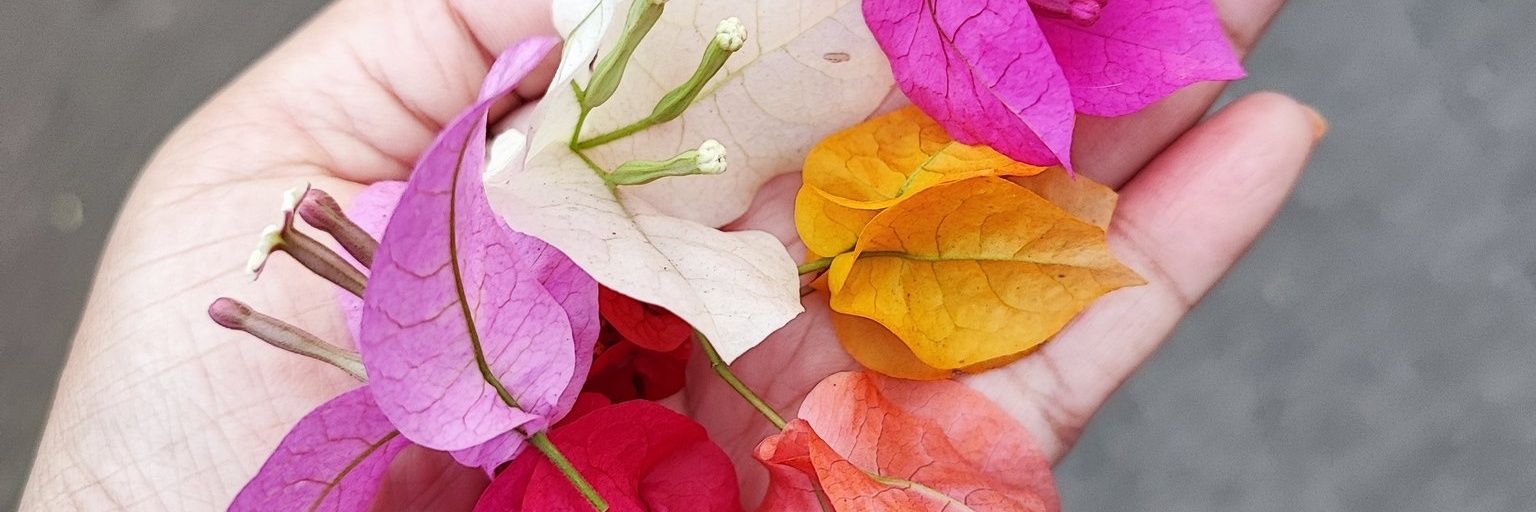 मुड मास्टर banner