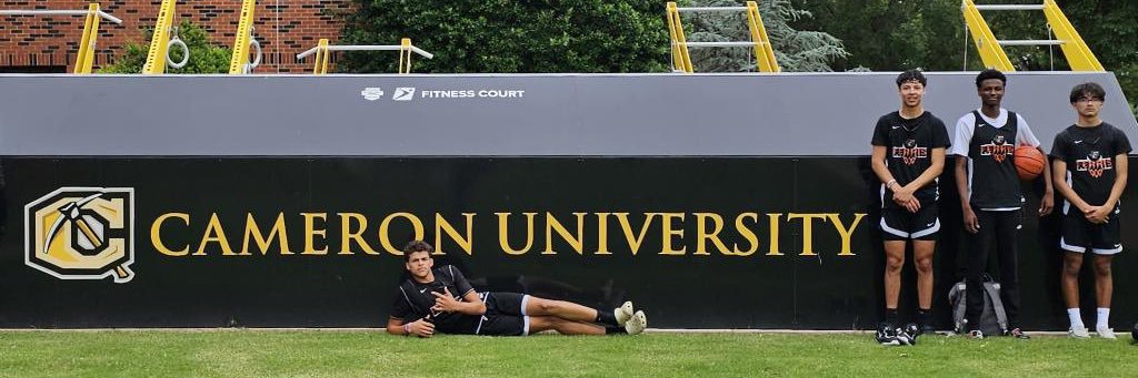 Airon wallace banner