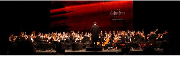 simfonova Profile Banner