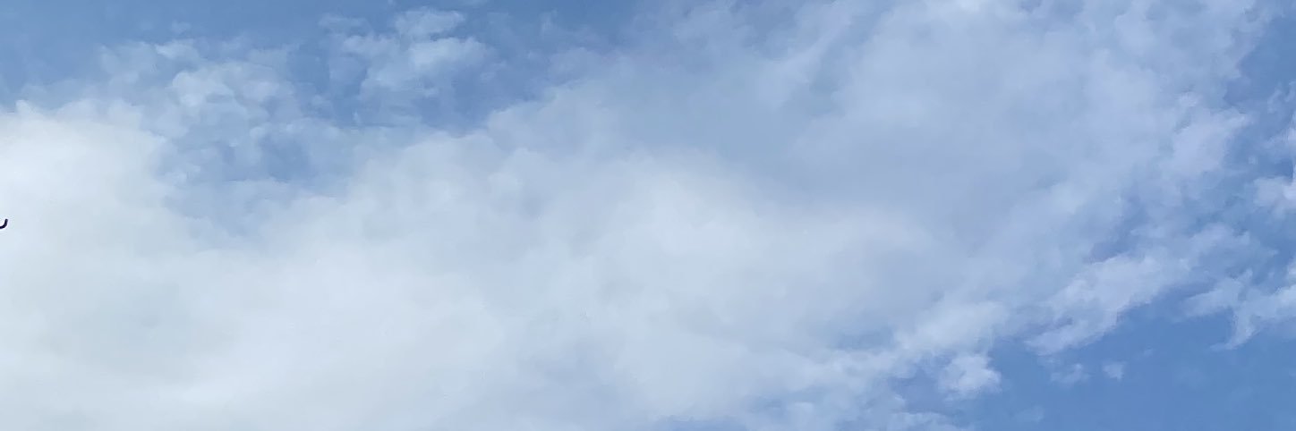 futrolit banner