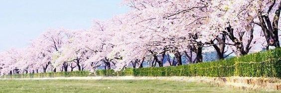 OctaKim2's profile banner image