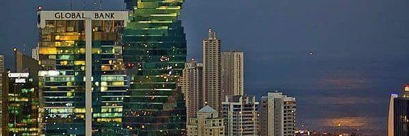 rosa_lin11's profile banner image