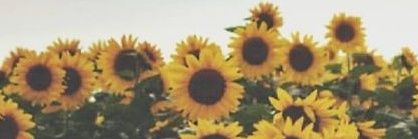 twoostik's profile banner image