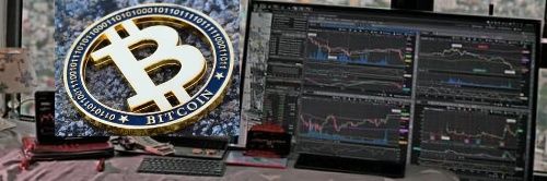 whalecrypto91's profile banner image
