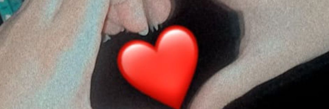 AyeSha_ch__'s profile banner image