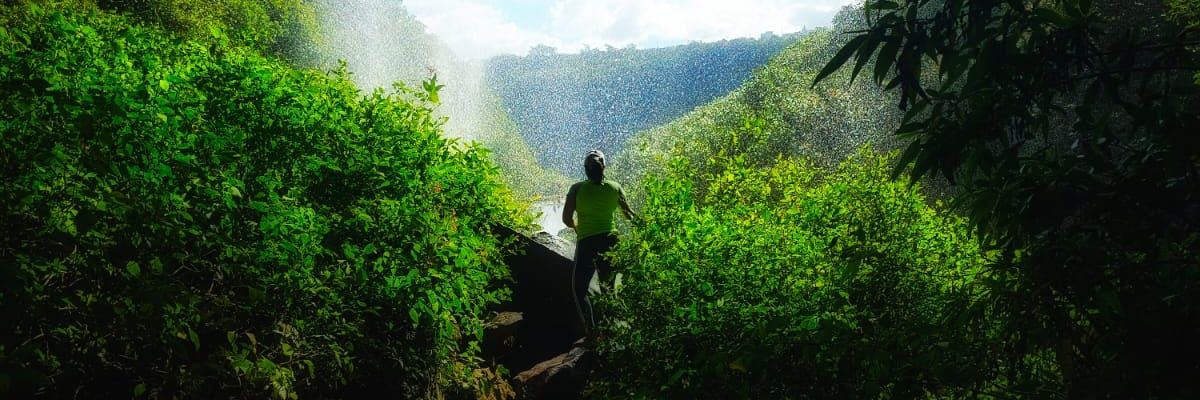 dalina_panja's profile banner image