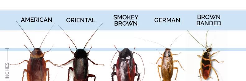 LeverBugs's profile banner image