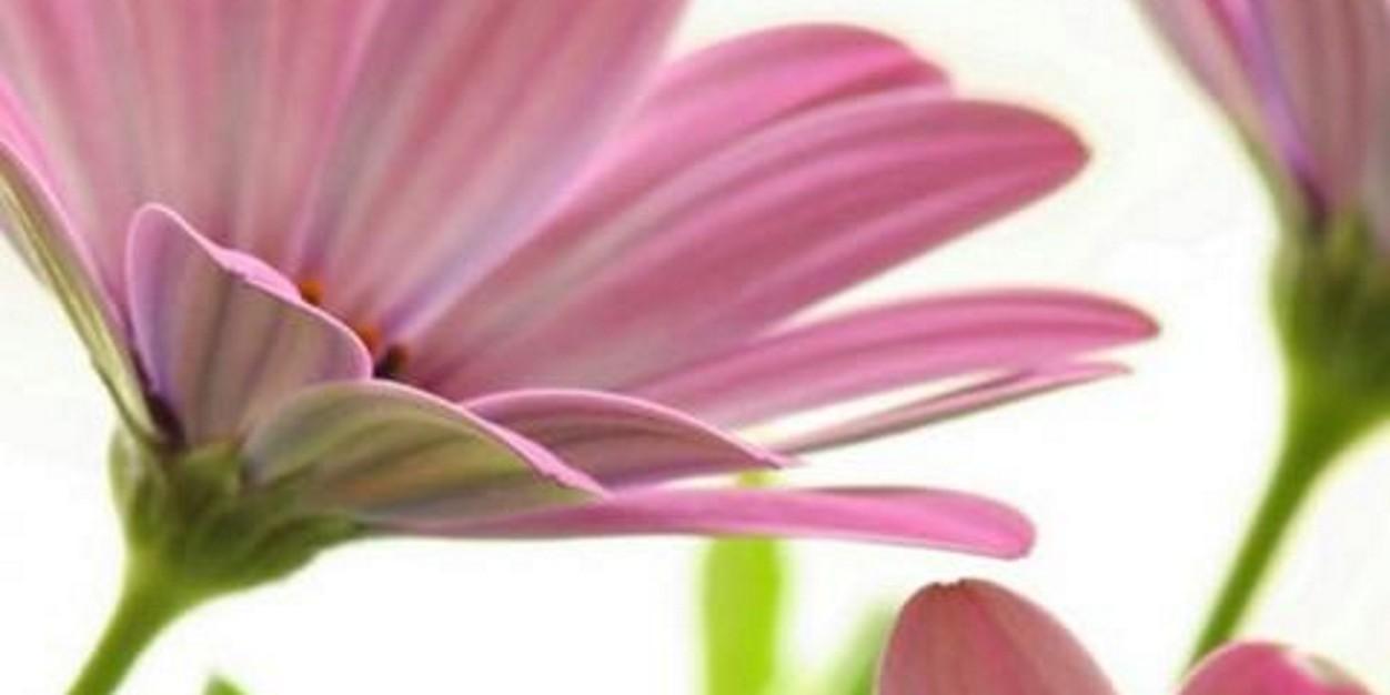 Marusi001's profile banner image