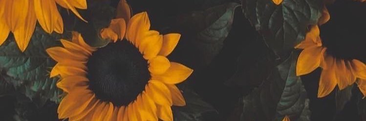Stewp67's profile banner image