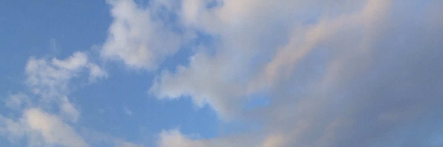 tylogenesis's profile banner image