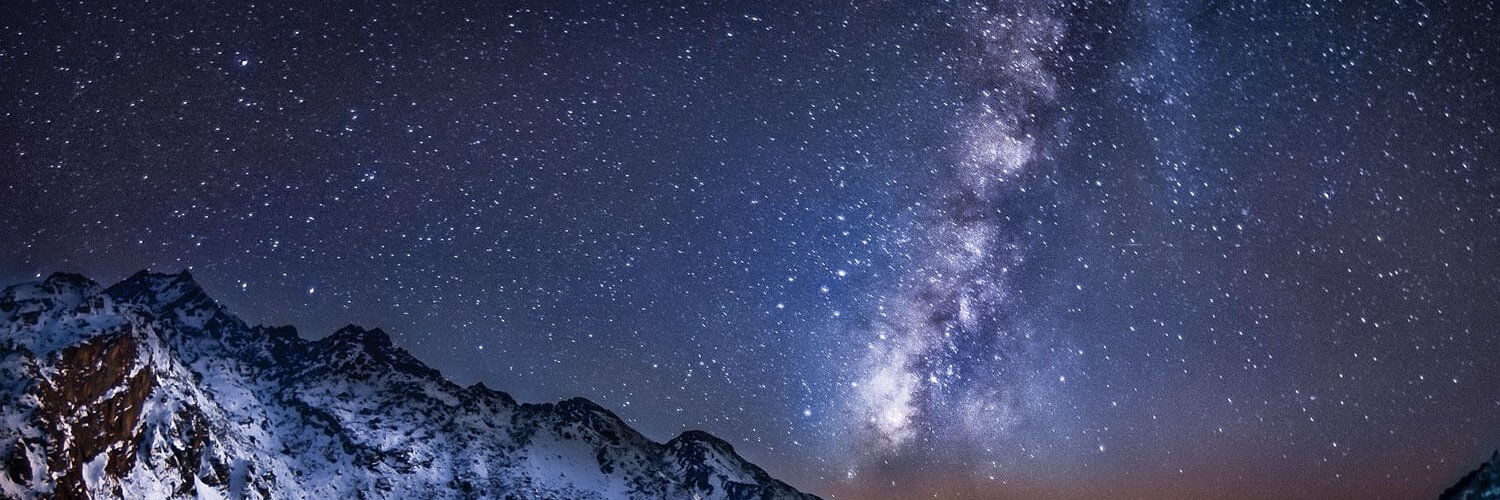 Pullusdelicatus banner