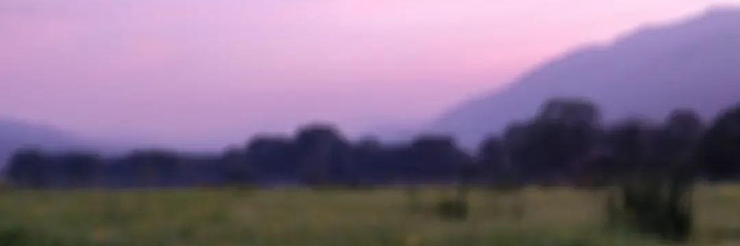 NicoleLOConnor's profile banner image